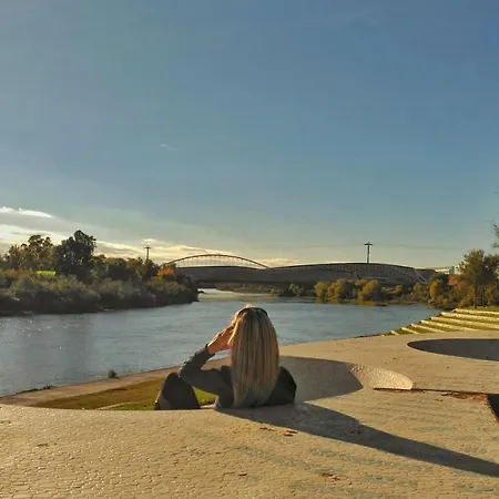 Mirador De Predicadores * Zaragoza