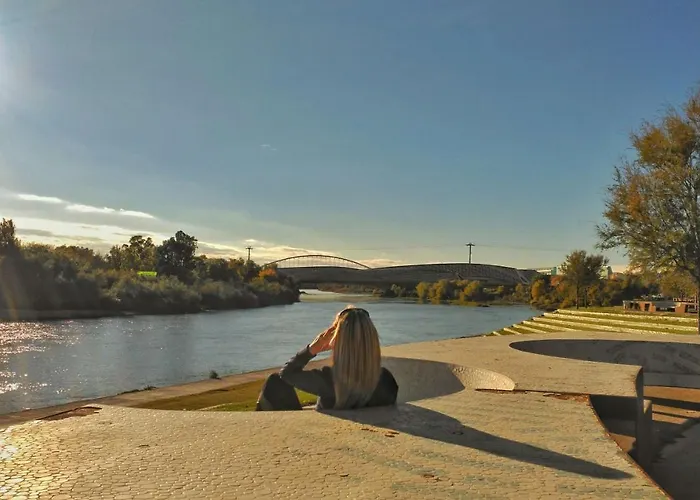 Mirador De Predicadores * Zaragoza